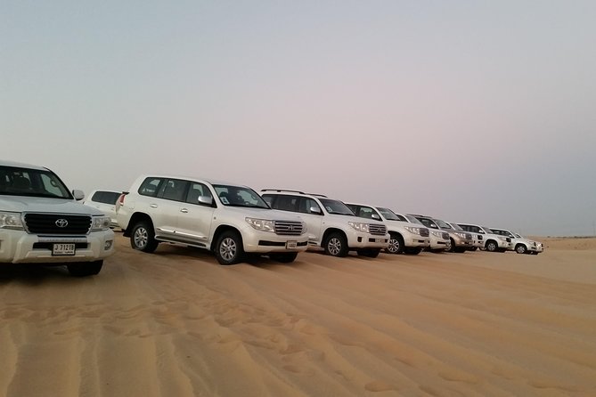 Abu Dhabi Morning Desert Safari - Small Group of Up to 6, How to Get the Best Out of the Morning
