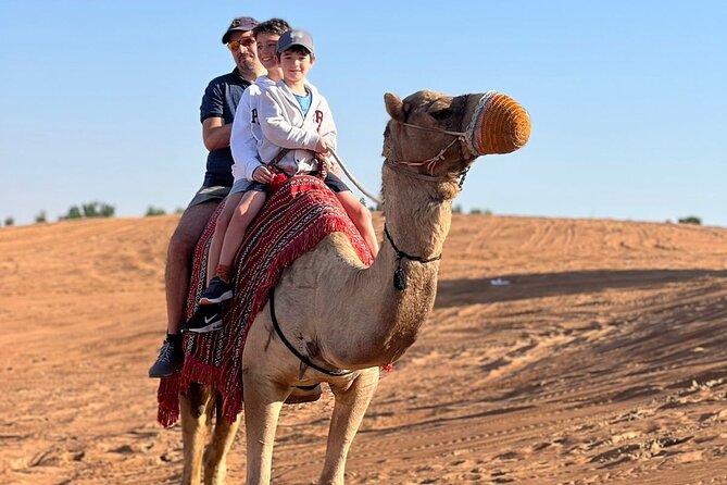Abu Dhabi morning desert safari - Private car - 4WD dune bashing at Al Khatim: the roller-coaster ride you remember