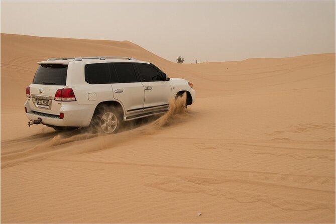 Abu Dhabi morning desert safari - Private car - Sandboarding: the fast track to desert fun