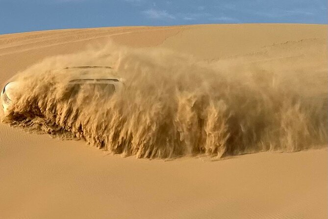 Abu Dhabi Morning Desert Safari with Camel Ride - Key highlights at a glance