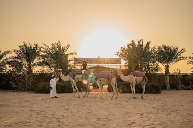 Adrenaline combo : Desert activities + ATV or Quad bike option - Value and price: what $219.20 per group really buys you