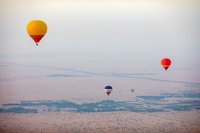 Adventure Hot Air Balloon with Buffet Breakfast & Falcon Show - The Camp Animal Rides: Short, Fun, and Best When You Stay Present