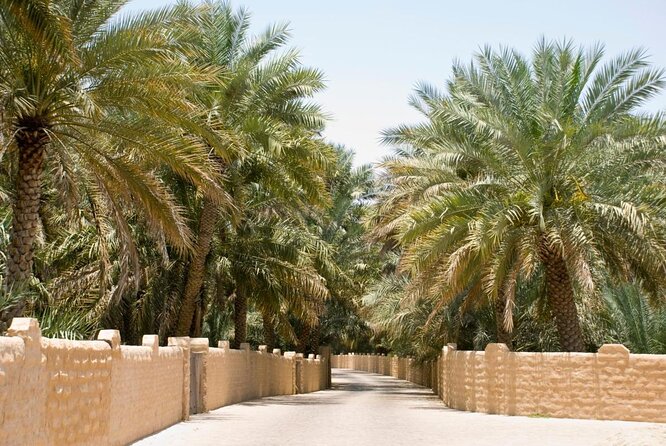 Al Ain City Sightseeing tour with Lunch from Dubai - Jebel Hafeet Hot Springs: Soak Energy, Mountain-Foot Reality