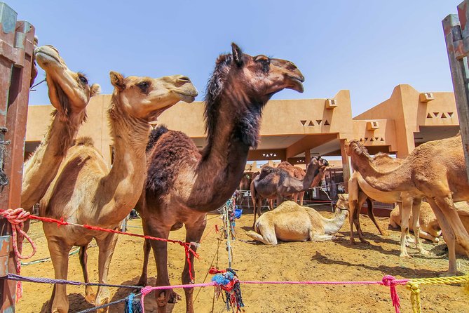 Al Ain City Sightseeing tour with Lunch from Dubai - Time Management and Order Changes: Why Your Day Might Flow Differently