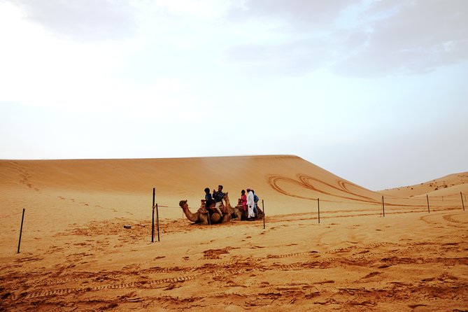 Al Ain Desert Safari with Buffet Dinner - Fire and Belly Dance Shows: Fun Entertainment With a Clear Purpose