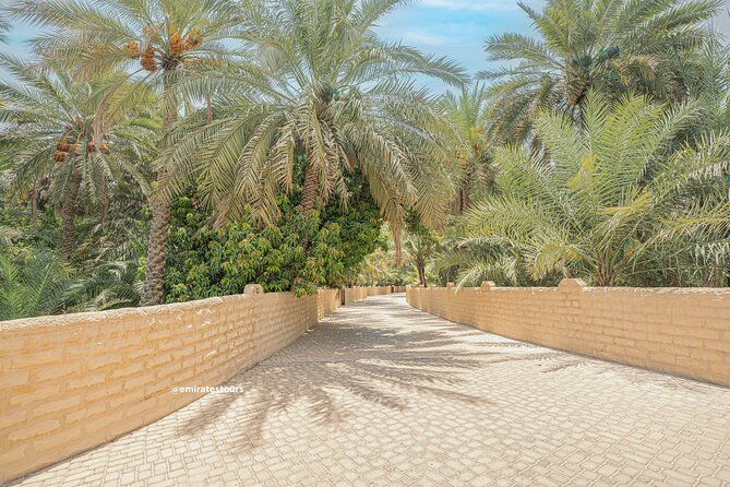 Al Ain Full Day Trip from Abu Dhabi with Lunch - Camel race circuit and markets: everyday life, not staged tourism