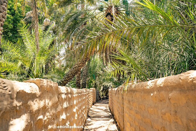 Al Ain Full Day Trip from Abu Dhabi with Lunch - Hot springs and buffet lunch: cooling down without overpromising