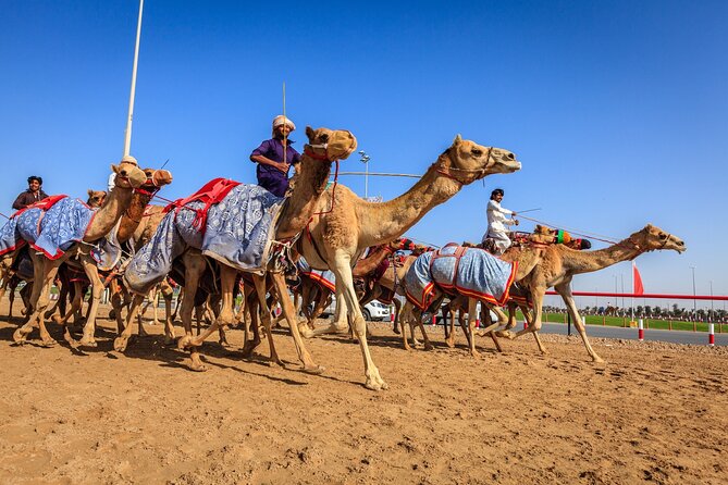 Al Ain Tour from Abu Dhabi - Getting from Abu Dhabi to Al Ain: 8-hour rhythm and air-conditioned comfort