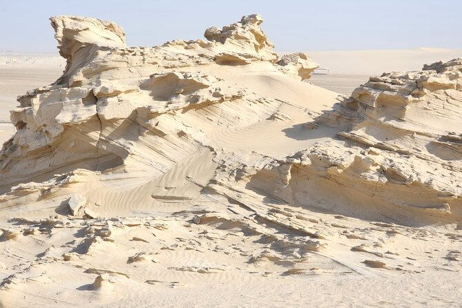 Al Wathba Fossil Dunes and Salt Lake Trip from Abu Dhabi - Al Wathba Wetland Reserve: flamingos and birds, if conditions line up