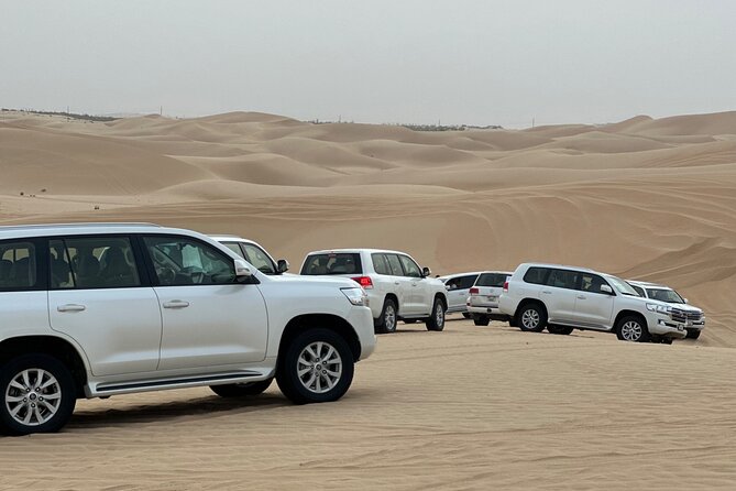Arabian Desert Safari Abu Dhabi: 6Hour Tour with BBQ & Live Shows - A 6-Hour Abu Dhabi Safari That Actually Packs In the Good Bits