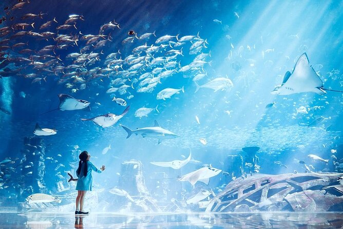 Atlantis Lost-Chamber Aquarium Dubai - Prebooking Admission in Dubai: Why It’s Worth It