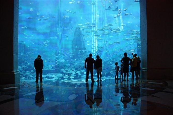Atlantis Lost-Chamber Aquarium Dubai - What the Best Moments Feel Like