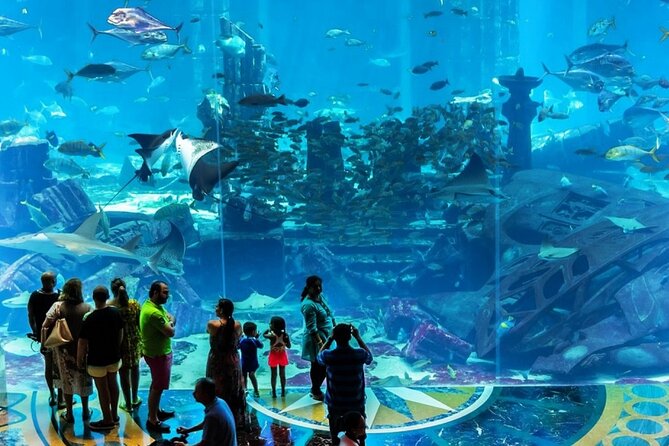 Atlantis Lost-Chamber Aquarium Dubai - The One Drawback to Plan For: Expect Tank Size Variation