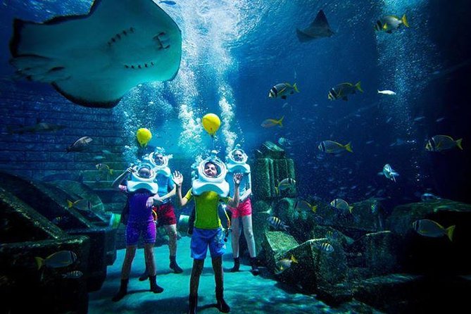 Atlantis Lost-Chamber Aquarium Dubai - Price and Value: Is $61.67 a Good Deal?