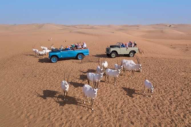 Authentic Safari in Vintage Land Rover with Traditional Dinner - Should you book the Heritage Safari with vintage Land Rovers and traditional dinner?