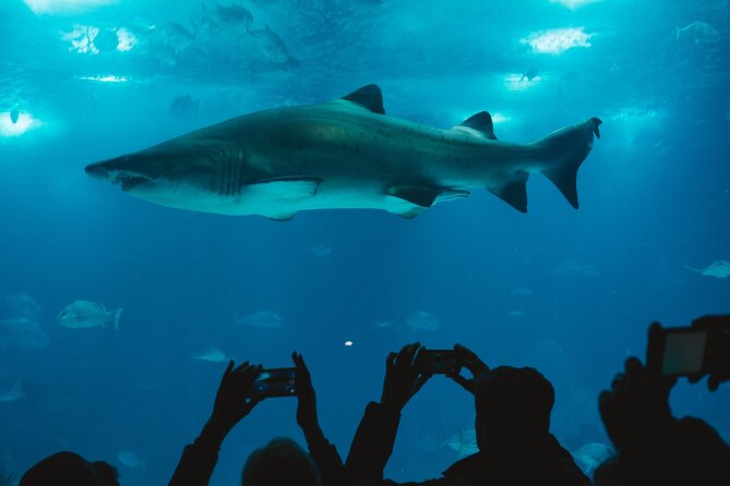 Burj Khalifa and Dubai Aquarium Combo Entrance Ticket - The itinerary order matters more than you think