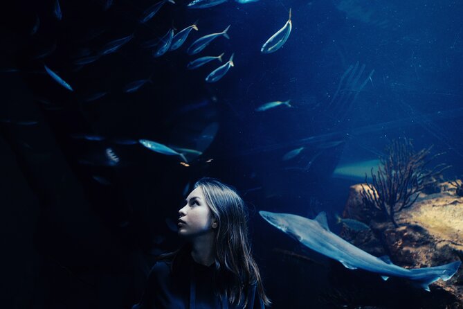 Burj Khalifa and Dubai Aquarium Combo Entrance Ticket - Dubai Aquarium and Underwater Zoo inside Dubai Mall: the best part and the possible letdown