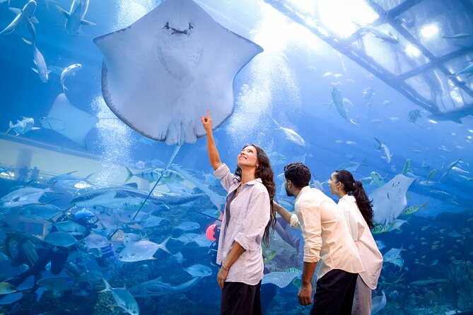 Burj Khalifa At the Top & Dubai Aquarium Combo Entrance Tickets - Weather and visibility: what hazy days do to the payoff