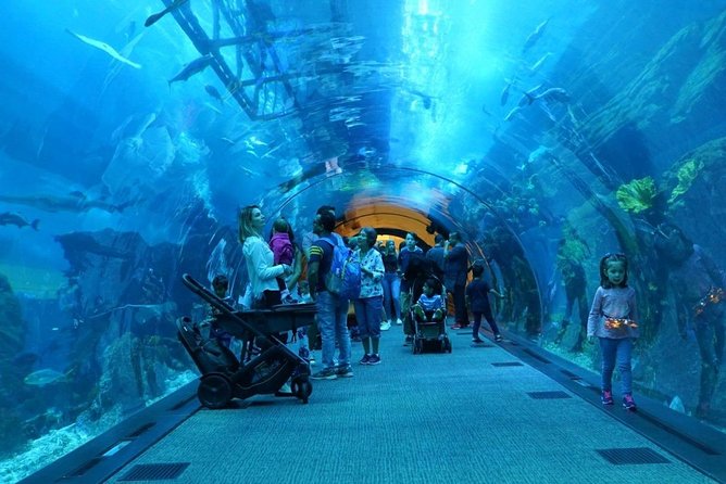 Burj Khalifa, Dubai Aquarium & UWZ with Penguin Cove Entry Ticket - Who Should Book This Ticket, and Who Might Feel Unsatisfied