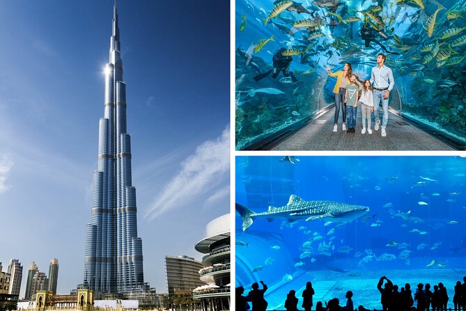 Burj Khalifa, Dubai Aquarium & UWZ with Penguin Cove Entry Ticket - Burj Khalifa 124th and 125th Floors, Fast Elevator, Huge Windows