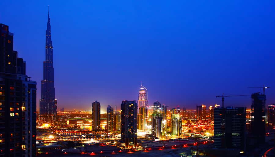 Burj Khalifa VIP Lunch – Michelin Dining & Porsche Transfer - Service and hosts: where the experience earns its 4.8 rating