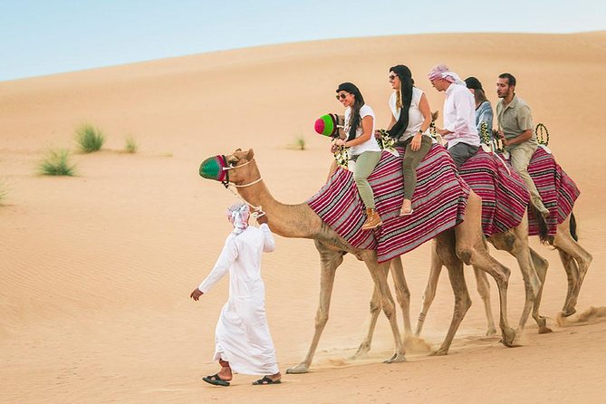 Camel Trekking and Morning Safari with Sand Boarding - Camel Trekking For Real: What 20 Minutes Actually Gives You