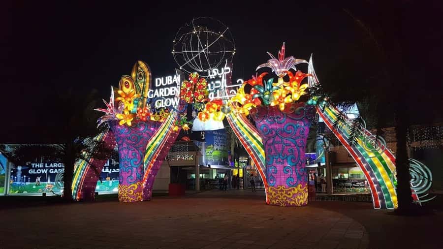 City of Lights: Dubai Night Experience - Key Points Worth Knowing Before You Go