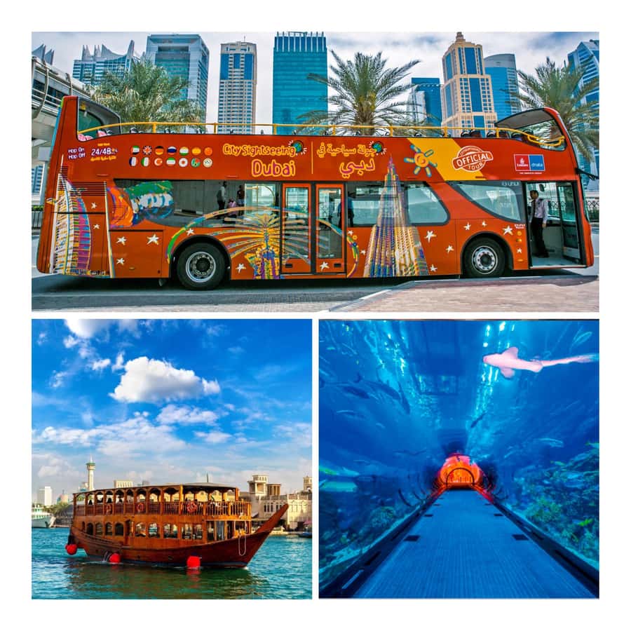 City Sightseeing Dubai Hop-On Hop-Off Bus Tour & Dhow Cruise - Blue Route across Dubai Marina to Atlantis, where Lost World Aquarium is