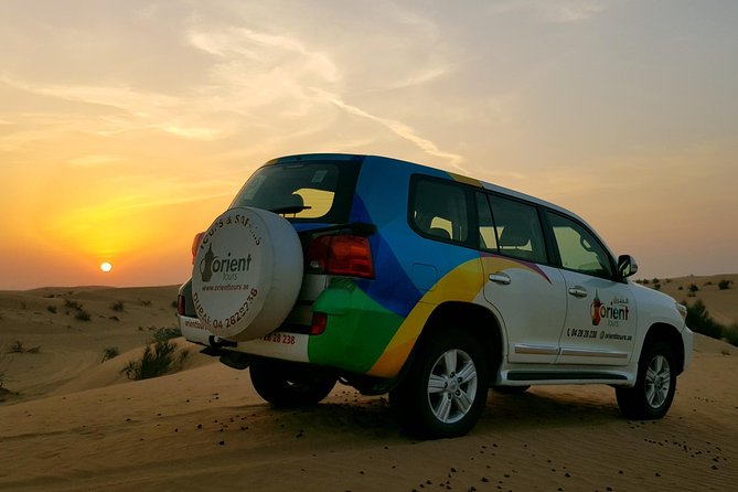 Classic Dubai Desert Safari with BBQ Dinner and Camp activities - The camel farm stop: a quieter moment with real desert animals