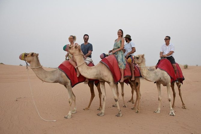 Classic Dubai Desert Safari with BBQ Dinner and Camp activities - BBQ dinner and live shows: how the evening is paced