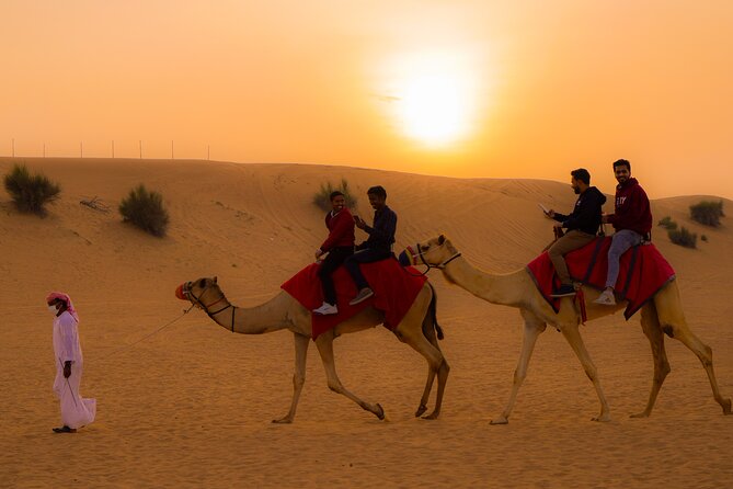 Combo tour- Dubai city tour & Evening Desert safari - The short break before desert pickup, and how to use it
