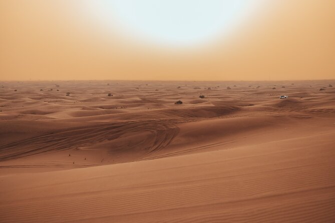 Deluxe Sunset Desert Safari: SandSurfing, Camel Ride & BBQ dinner - Dubai Desert Safari in 4x4: What This Tour Is Really Like