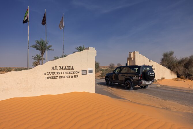 Desert Conservation Wildlife Drive & Breakfast at Al Maha Resort - The Royal Lake Bird Sanctuary Stop: A Change of Pace From Wildlife Spotting