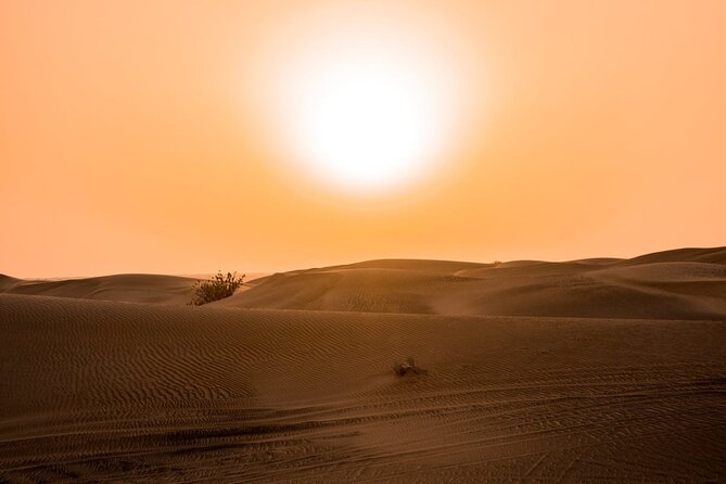 Desert Quad Biking Tour and Sand Boarding with Dinner in Dubai - Tips to Get the Most Out of Quad Bikes, Sand, and the Evening Shows
