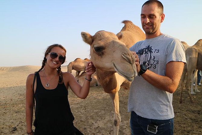 Desert Safari Abu Dhabi - Sand boarding, camel farm, and riding without rushing