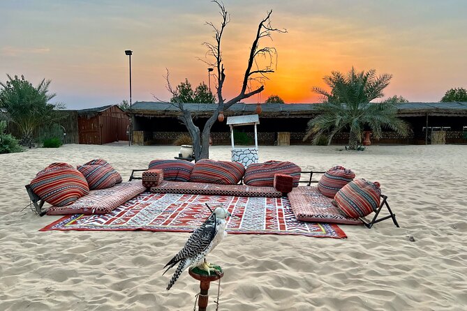 Desert Safari Abu Dhabi w/ Sand Boarding, Camel Ride & BBQ Dinner - What You Pay, and Why It Feels Like Value