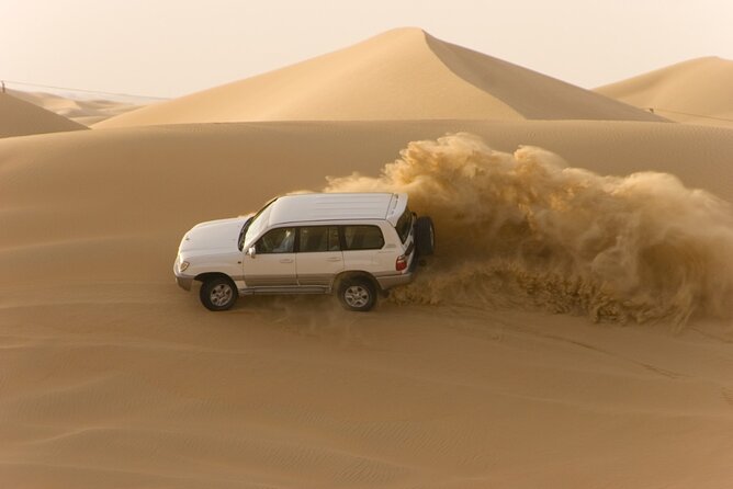 Desert Safari Abu Dhabi w/ Sand Boarding, Camel Ride & BBQ Dinner - Camel Farm to Dune Bashing, Plus the Photo Stop That Changes Everything