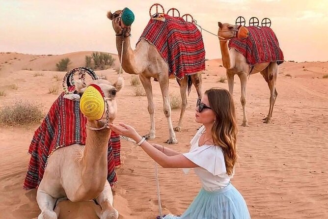 Desert Safari Adventure Dubai - Who This Desert Safari Adventure Dubai Is Best For