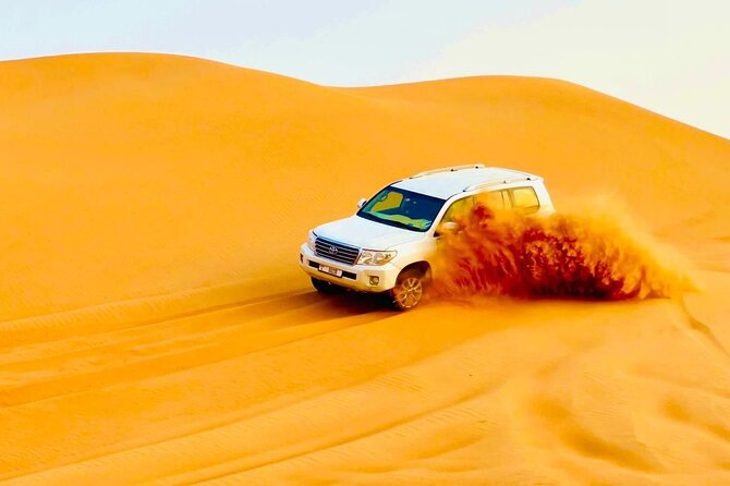 Desert safari adventure with BBQ dinner - Key Highlights You Actually Care About