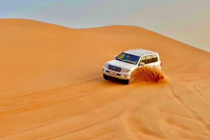 Desert safari adventure with BBQ dinner - Camel Ride Plus Sandboarding: Fun, but Keep Expectations Realistic