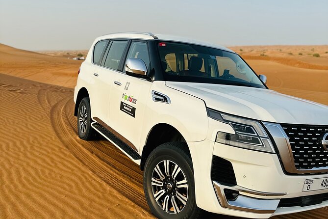 Desert Safari BBQ dinner, Camel ride & sandboarding from Dubai - Pickup, timing, and what the 6-hour schedule really means