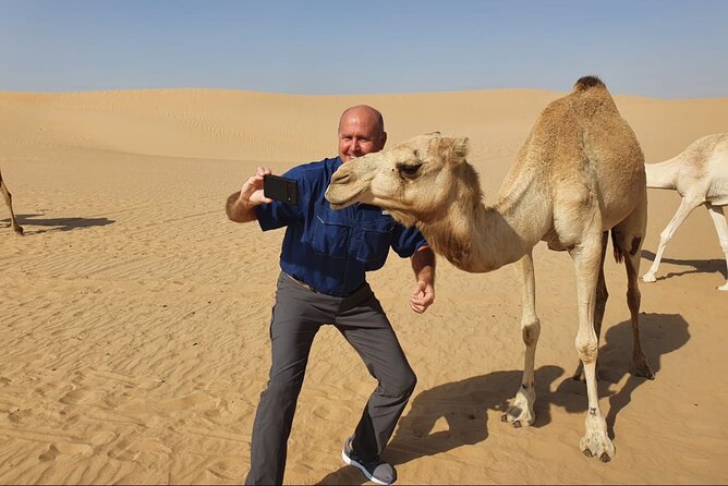 Desert Safari BBQ dinner, Camel ride & sandboarding from Dubai - Camel ride and sandboarding: the mix of calm and chaos