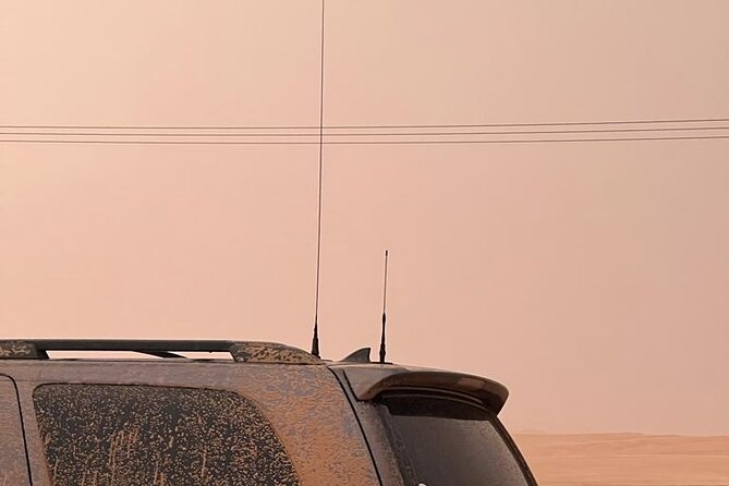 Desert Safari BBQ Dinner, Live Shows, ATV Bikes, Sandboarding - Key moments that make this safari a hit