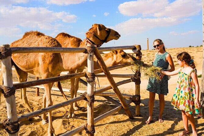 Desert Safari Dubai 30 Mins Quad Bike, Sand Board, Camel Ride BBQ - Price, Group Size, and Overall Value