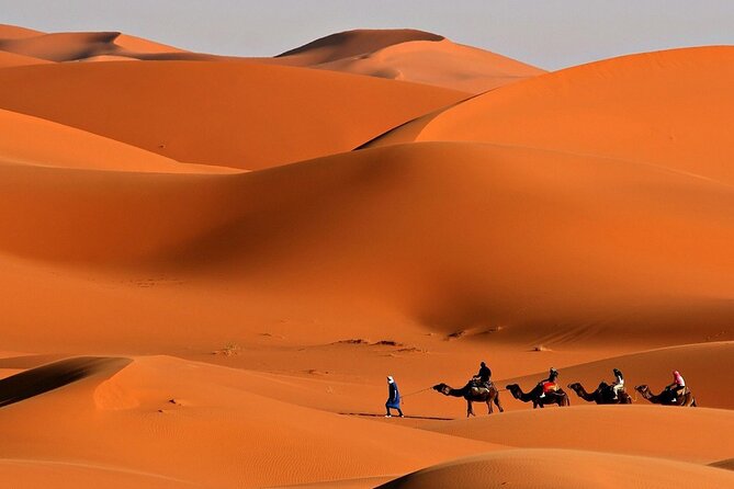 Desert Safari Dubai BBQ Dinner & Live Shows - Group Size, Vehicle Comfort, and How Smooth It Can Feel