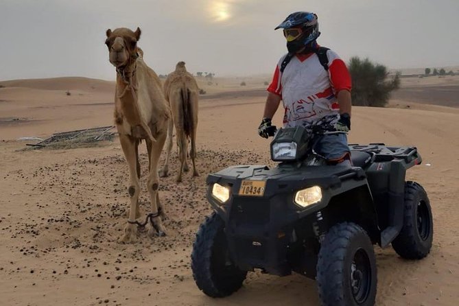 Desert Safari Dubai (PREMIUM VIP) - The 2:30 pm Start, Pickup, and How You Get to the Desert