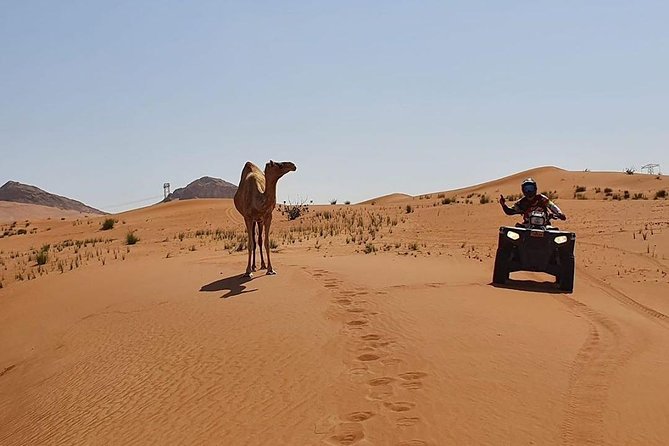 Desert Safari Dubai (PREMIUM VIP) - Quad Bike Ride: Fun, Fast, and Usually Short