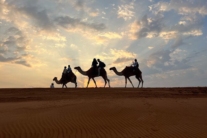 Desert safari Dubai with BBQ Dinner - Sandboarding on high dunes: the payoff after the ride