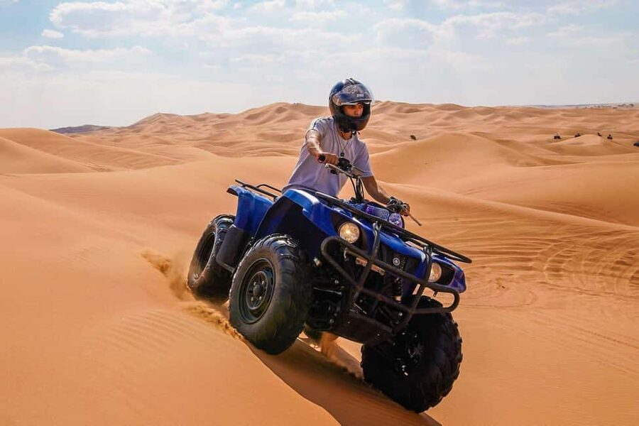 Desert Safari Dubai with Camel Ride, Sandboarding & Dinner - Dubai to Lahbab and Al Aweer: what this day trip really delivers