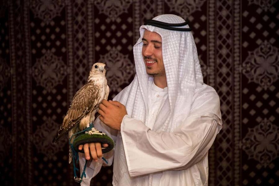 Desert Safari Dubai with Camel Ride, Sandboarding & Dinner - Who this tour fits best, and who should rethink the plan
